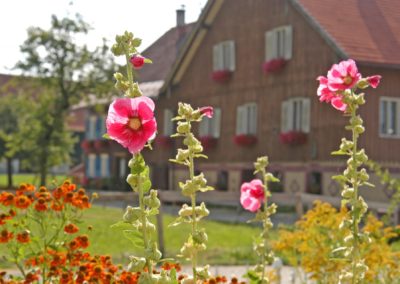 © Kultur und Tourismusamt Lindenberg