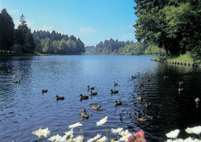 © Kultur und Tourismusamt Lindenberg