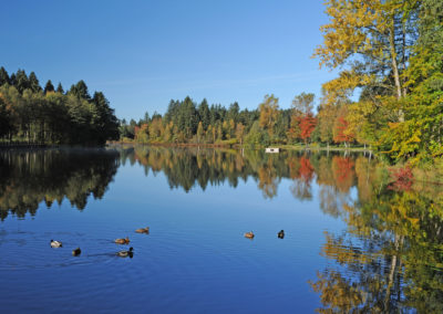 © Kultur und Tourismusamt Lindenberg